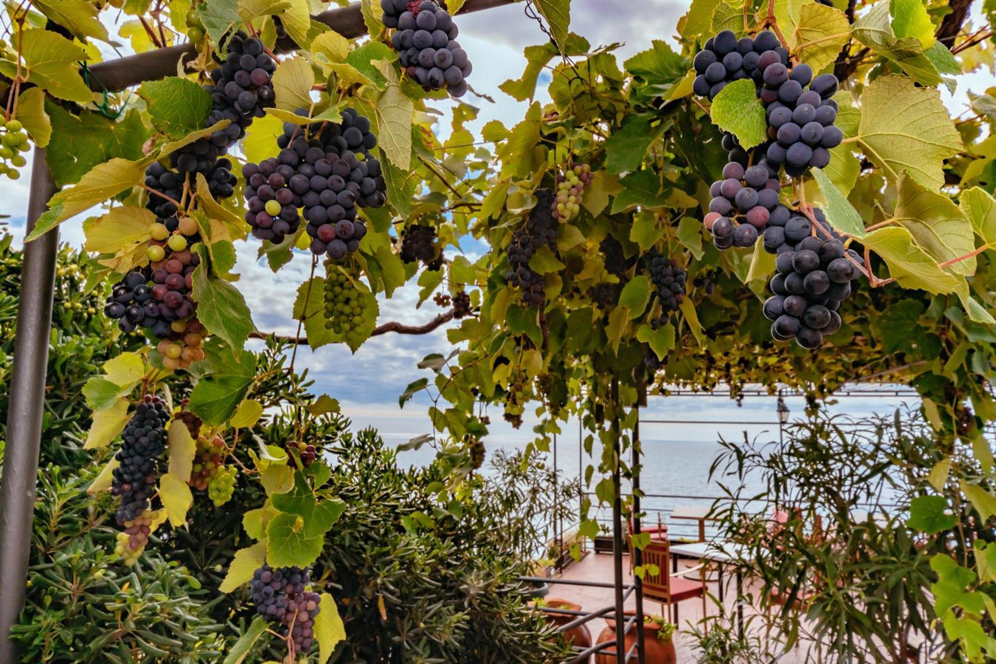 Hotel Savojo Petrovac 外观 照片